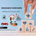 INSURANCE COMPANIES- REGULATORY ENVIRONMENT